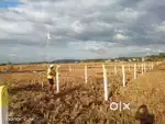 Bungalow plot for sale