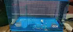 Rabbit Cage