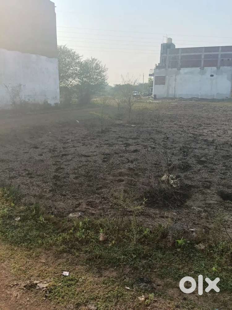 पानेका ग्राम से पहले नागपुर रायपुर हाइवे से 300 मीटर