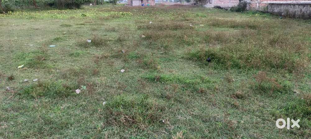 Land for sale Piyali