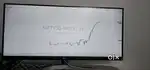 LG ULTRAWIDE SERIES 73.66 cm (29 inch)  (29WQ600)