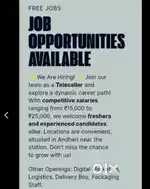 TELECALLER BPO INTERNATIONAL DOMESTIC BPO LOGISTICS DIGITAL MARKETING