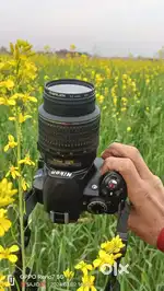 Nikon d3100
