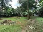 41 cent plot for sale in Aluva