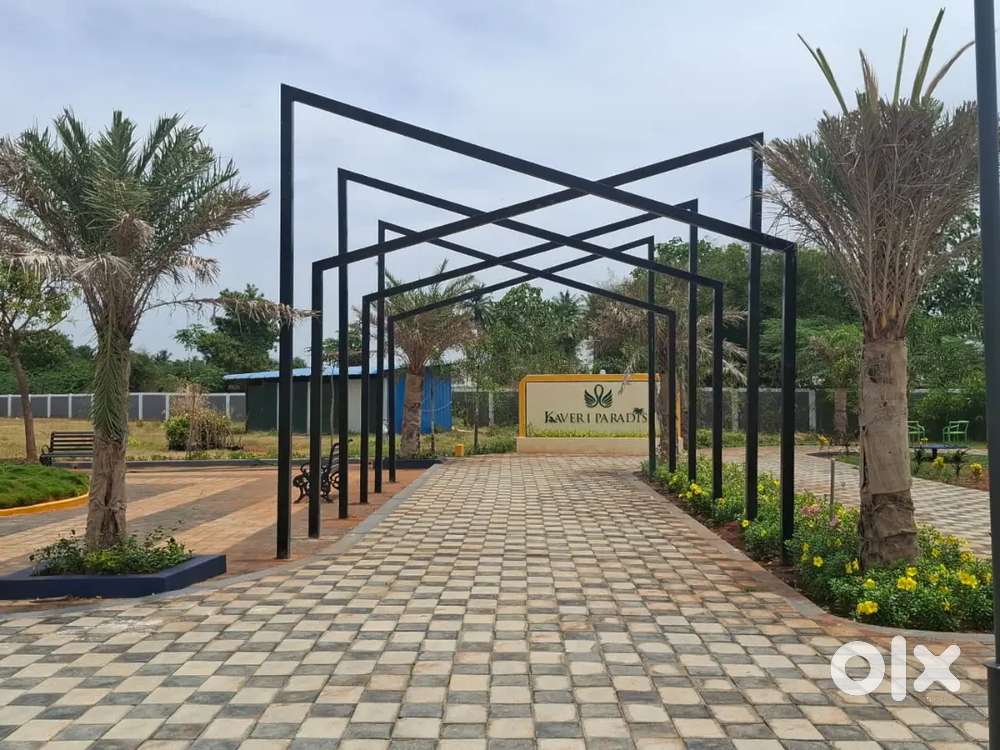 Trichy Olympics academy