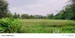 Near nedumbaseri airport 2.5 km and 350 meter from athani junction