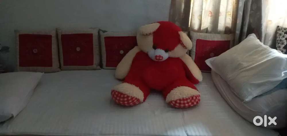 Pg for boys and girls near checkpost 2nd andhalf mile