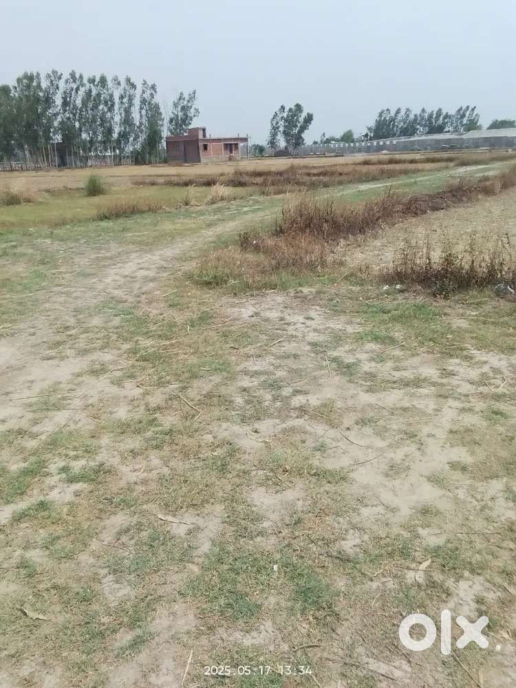 Pipraich main road se 1km patra bazar Gorakhpur