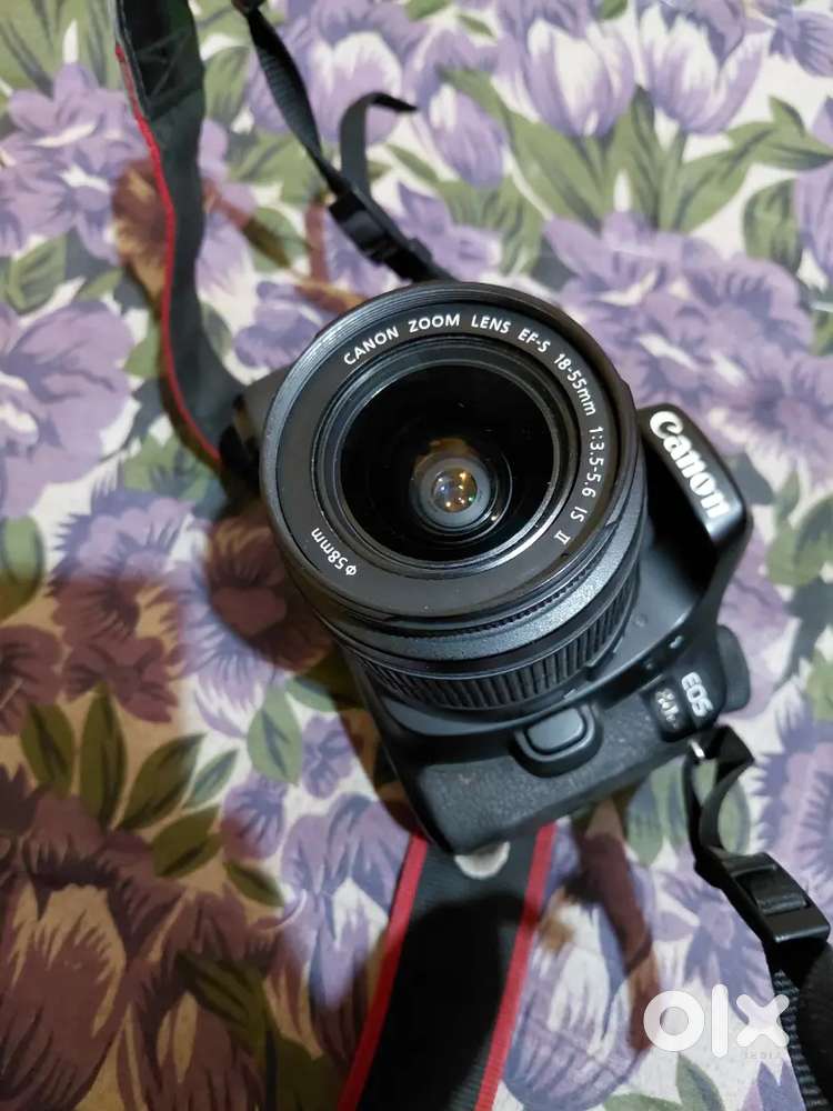 Canon 80D with canon 18-55