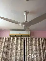 Fan White Orient make