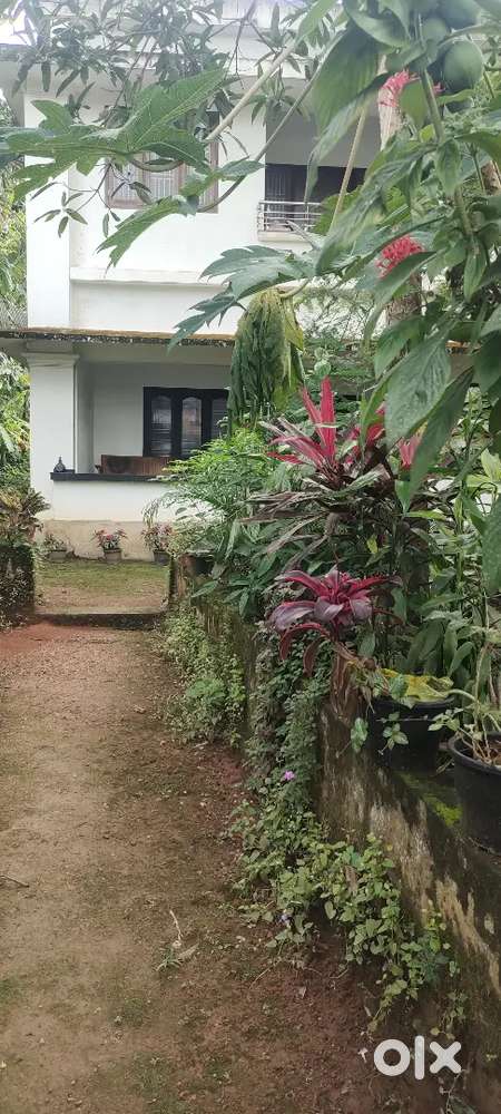 22 cent plot for sale