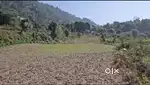 Residential Land at Naukuchiyatal Bhimtal.