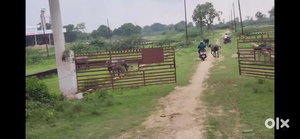 Raubreli road se 2km andar hmri planing chal rhi hai gated colony