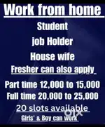 Work from home for students housewife &job person