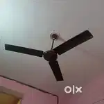 Celling Fan for Sale