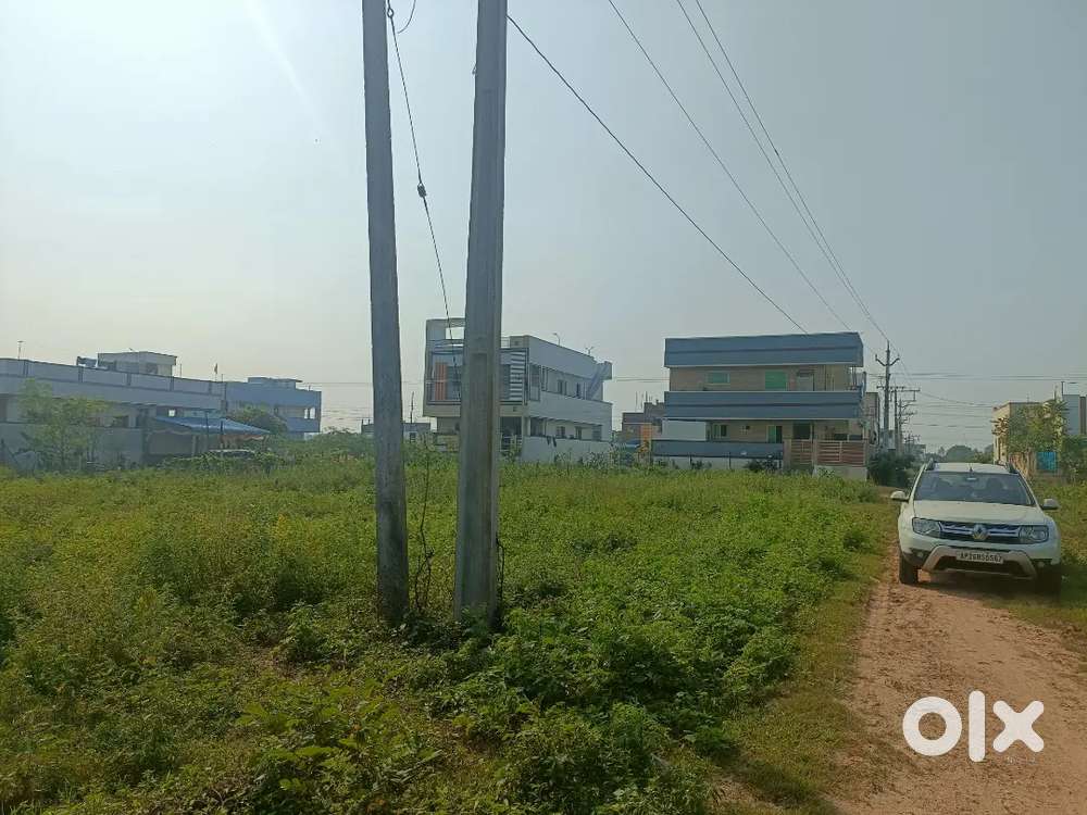 Land for sale 50 ankanalu