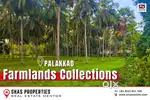 Farmland for sale in Kanjikode, Palakkad