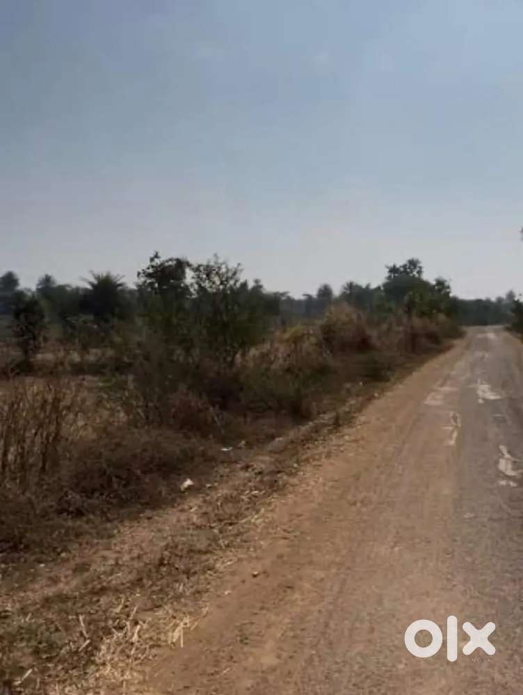 Plot for sale in state bank colony