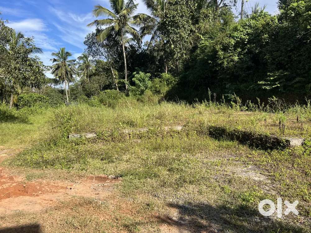 25 CENT HOUSE PLOT FOR SALE IN MANANTHAVADY