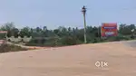 अमलेश्वर नगर परिसद मे कार्नर प्लाट उपलब्ध