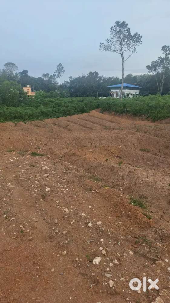 5.5 and 7 cent plot for sale