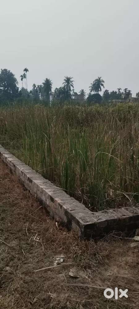 Land for sell