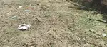 9 CENTS(OLDHOUSE)RESIDENTIAL PLOT FOR SALE NEAR CHOOZHAPLA VAYALIKKADA