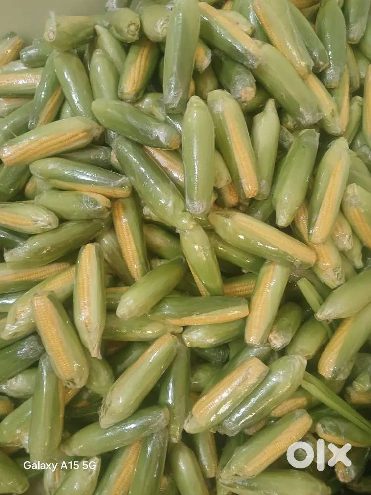 வெஜிடேப்ல் பேக்கிங் ( ஸ்வீட் கார்ன் )