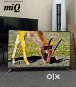 Led tv Android Smart 4k TV wholesale in PATIALA miQ led TVs