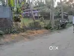 1 bigha land in nalbari mikhkuchi