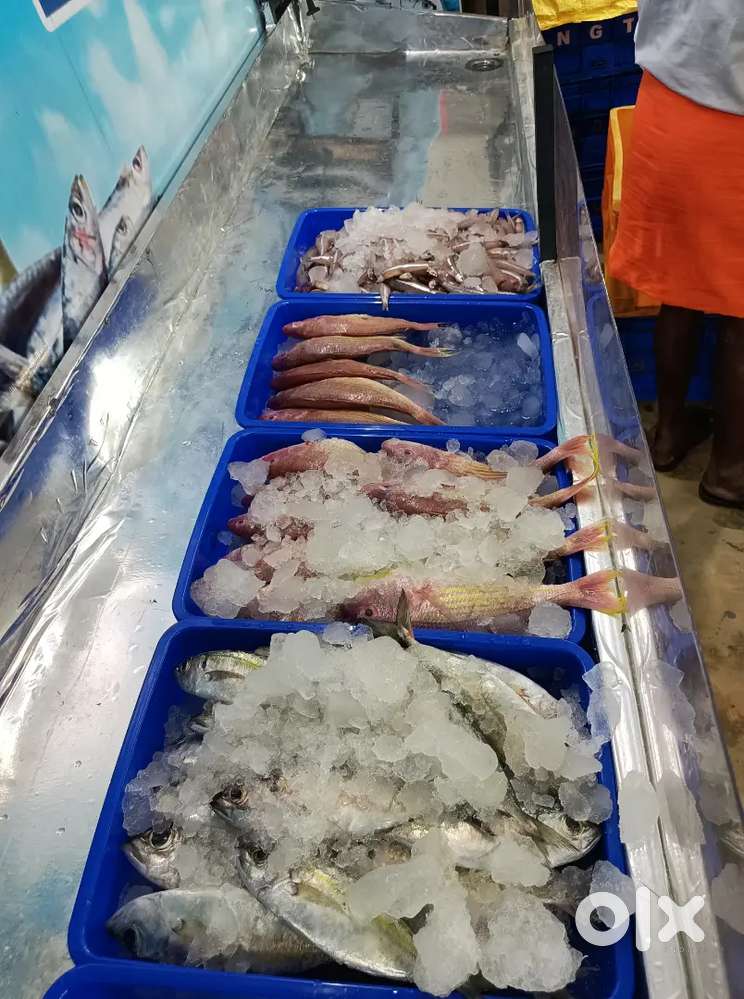 Required Fish cutting ladies staff