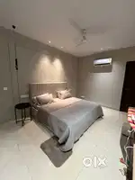 Ultra Luxurious 5 BHK Fully Furnished Flat For Rent Green Lotus