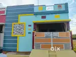 Dream House