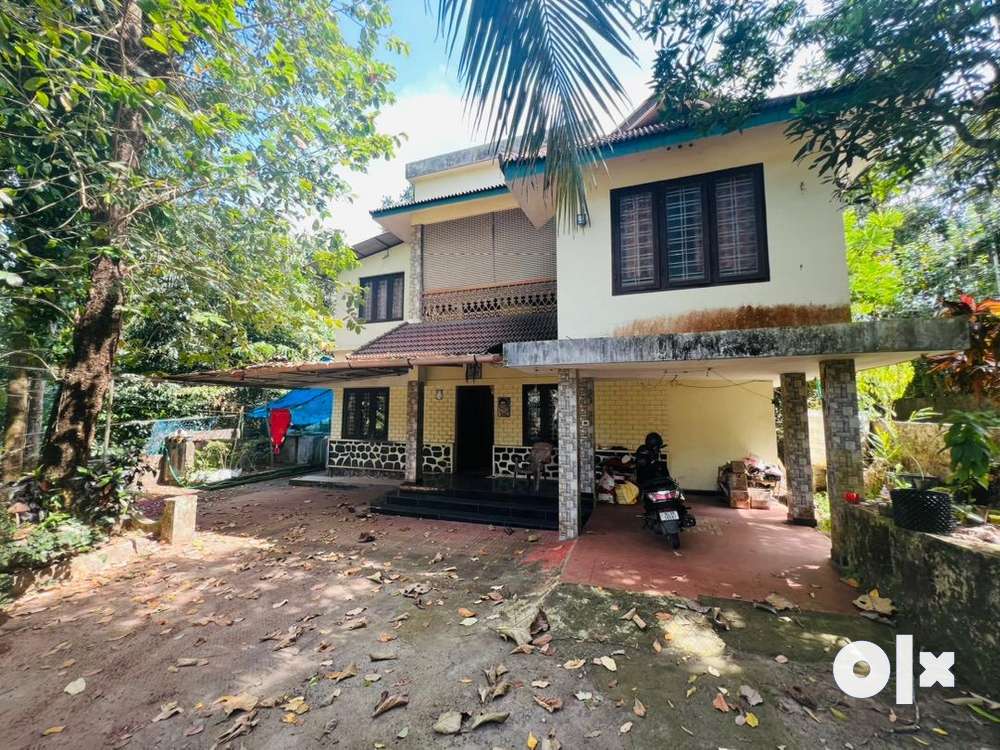 11.600 cent old house land rate only 55 laks Vandipeta Chottanikkara