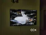 Compaq 43 inch Ultra HD (4k) LED Smart TV