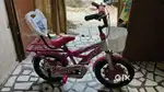 MOMSTAR BICYCLE