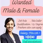 Wanted business development manager