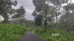 10-Acre Plot for Sale in Chundel Wayanad