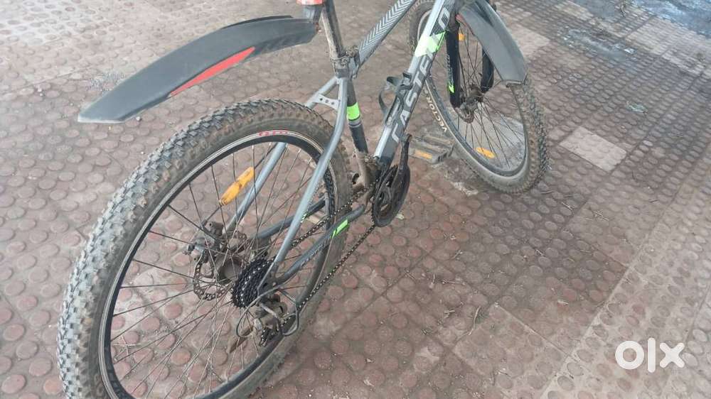 Castello 30' inch & speed Gear Cycle
