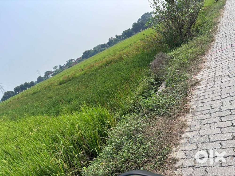 Sell the Properties in good price(Land is good Front on road)