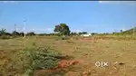 Residential Plot 2614 Sq.ft for Sale in Irumborai Village, Karamadai