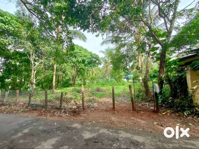 Residential plot for sale – 8 cents
