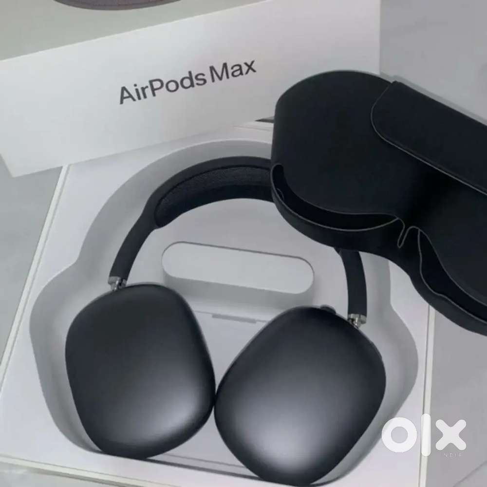 Apple headphones pro max