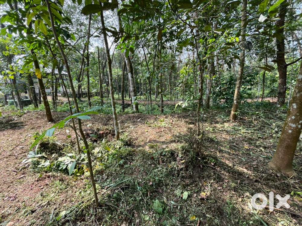 26 cents of plot ,2kmtrs away from valakom junction .