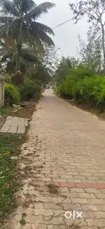 Clear Title Plot Available for sale at Best Price in Nuggikeri