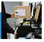 Wanted Night Male Sorting Staff at Courier Company