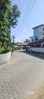 Commercial land. 50 meter from MC road, 15 feet road