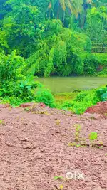 River Touch Cancal Touch Property,Sateli Bhedshe ,3623sq mt@₹1690/sqmt