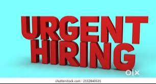 NO QUALIFICATION NEEDED EASY EARN MONEY