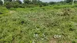 General plot for sale 80 decimal 8000 per dec